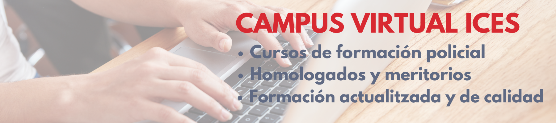 Banner Cursos de Formación Policial